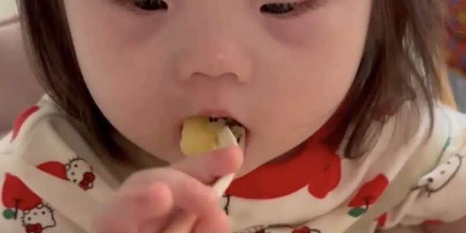 2. 「BLWとResponsive Feeding」右側の上段